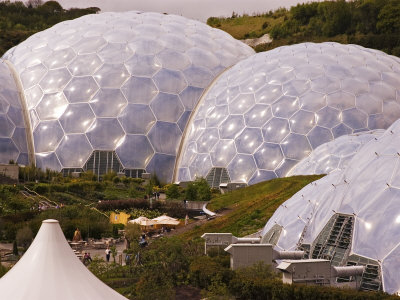 eden project plants				